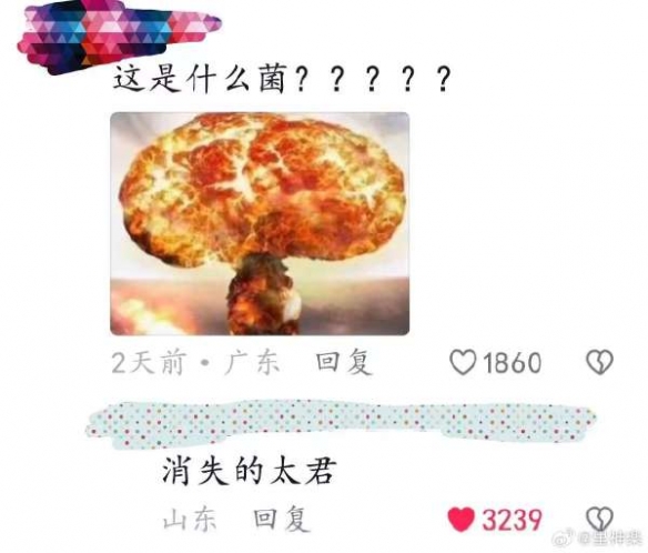 这是哪位狐仙大人掉的尾巴囧图老鼠：再来爽一次