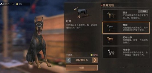 明日之后萌犬小哈价格与天窗家具详情介绍