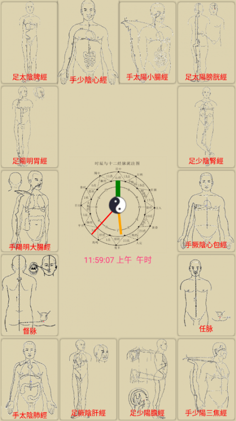 中医经络穴位流注图6