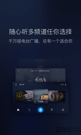 carpro截图7