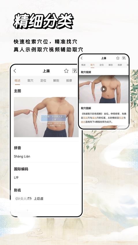 中医经络穴位标准指南图4