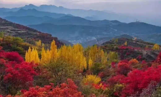 云上登封客户端