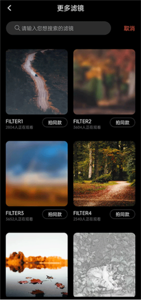 Dazz怎么调滤镜