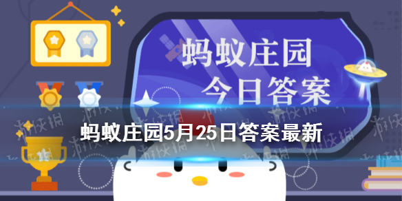 眼睛也会“中风”吗蚂蚁庄园5月25日答案最新