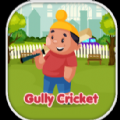 gullycricket