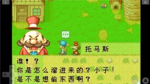 牧场物语gba