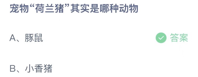 蚂蚁庄园今日正确答案是什么谢谢2023年5月7日蚂蚁庄园答案