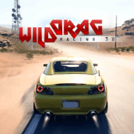 狂野飙车3dWildDragRacing3d