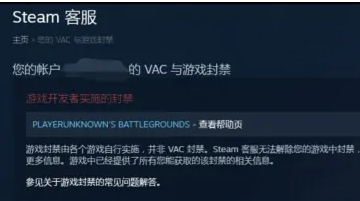 csgo账号被永久封禁可能解封吗csgo账号被永久封禁怎么办