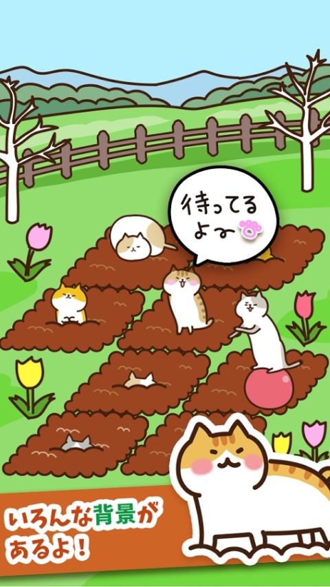 猫咪田园内图3