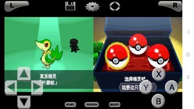 口袋妖怪永恒之炎zero金手指