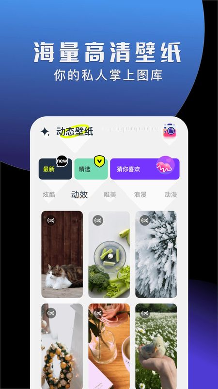 手机动态壁纸大全下载app