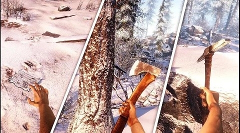 winterwildsurvivalsimulator截图6