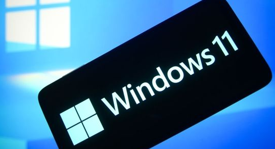 Windows11设置局域网络技巧