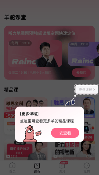 羊驼雅思