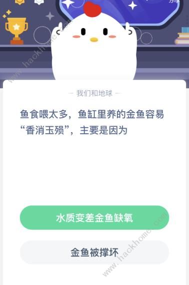 金鱼容易香消玉殒蚂蚁课堂金鱼容易香消玉殒主要是因为什么