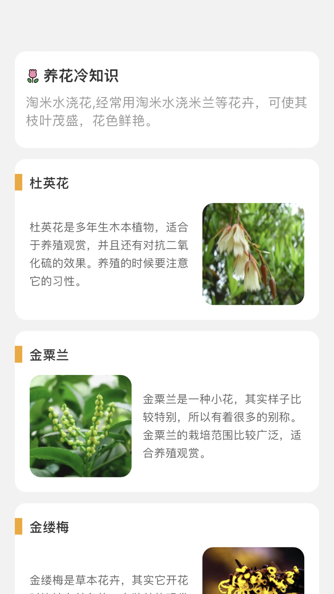 百花悦看app官方版下载截图4