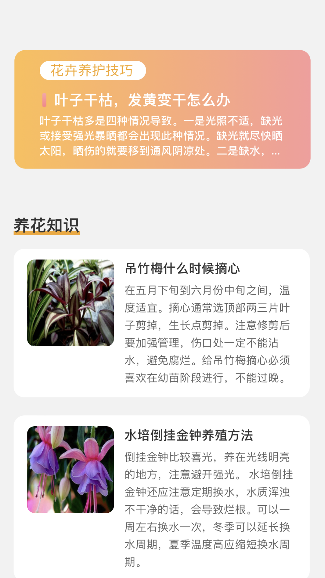 百花悦看app官方版下载截图5