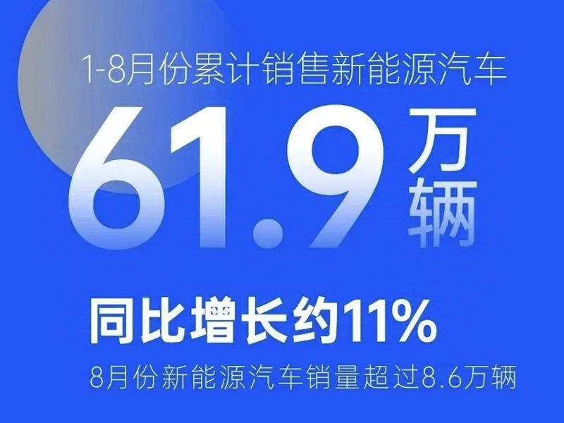 2024年8月汽车销量：谁在崛起谁在掉队