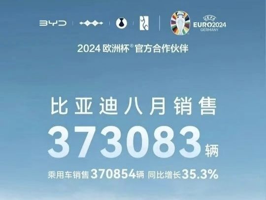 2024年8月汽车销量：谁在崛起谁在掉队