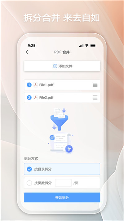 金闪pdf图5