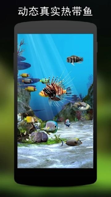 3d水族馆动态壁纸截图4