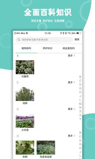 植物问诊图6