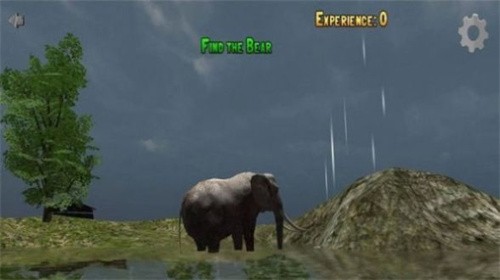 3D动物探索AnimalDiscovery3D图6