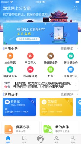 湖北公安政务服务平台图3