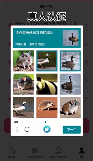 mnetplus官方最新版本