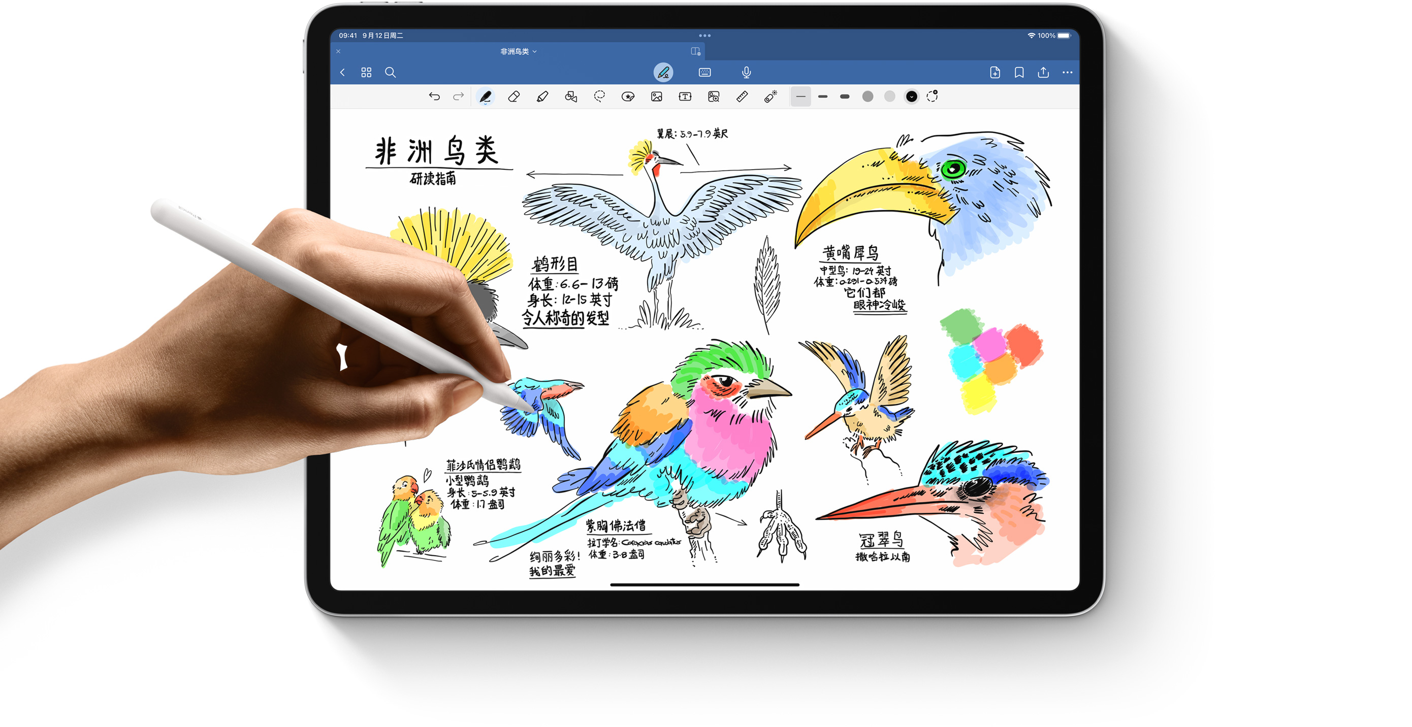 iPadmini7：升级看似常规，却依然是小尺寸平板性价比之王