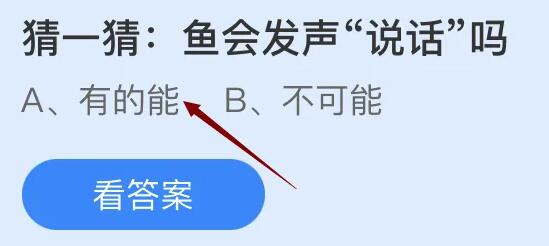 鱼会发声说话吗
