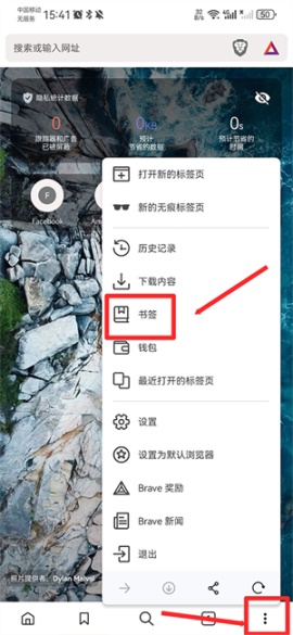 brave浏览器中文版