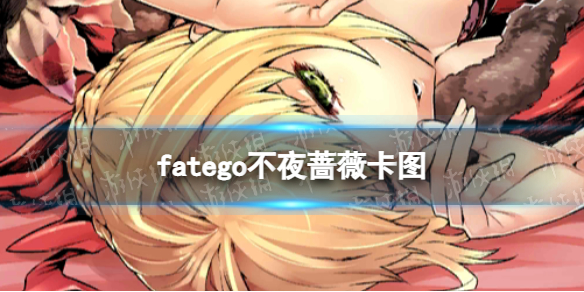 fatego不夜蔷薇卡图FGO不夜蔷薇卡面