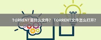 什么是torrent文件