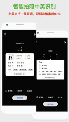 斑马词典AI拍照识字图6