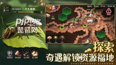 小小蚁国十大最值得养的蚂蚁特化蚁排行榜一览