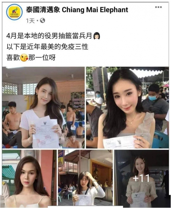 泰国征兵现场“美女如云”宛如选美现场争奇斗艳
