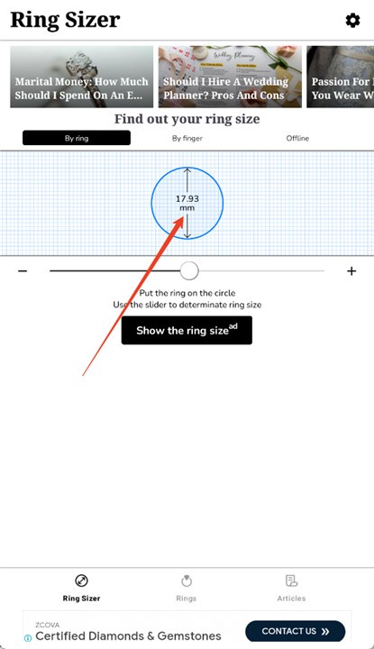 Ring Sizer
