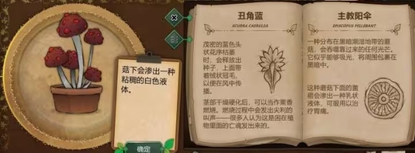 奇异园艺