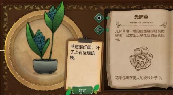 奇异园艺