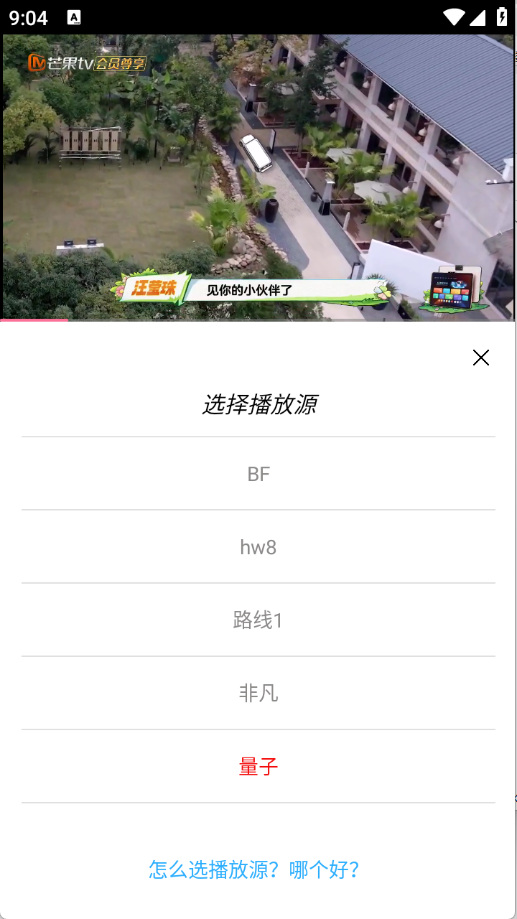 叶子影视app
