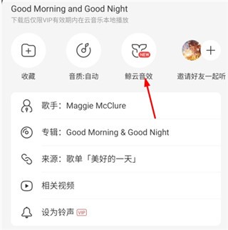 网易云音乐极速版