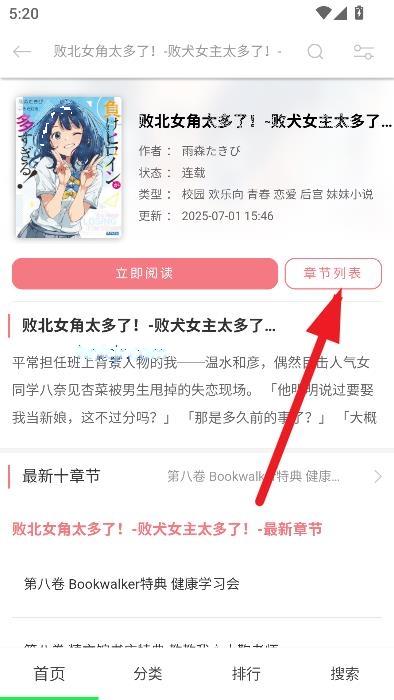 幻梦轻小说套壳版
