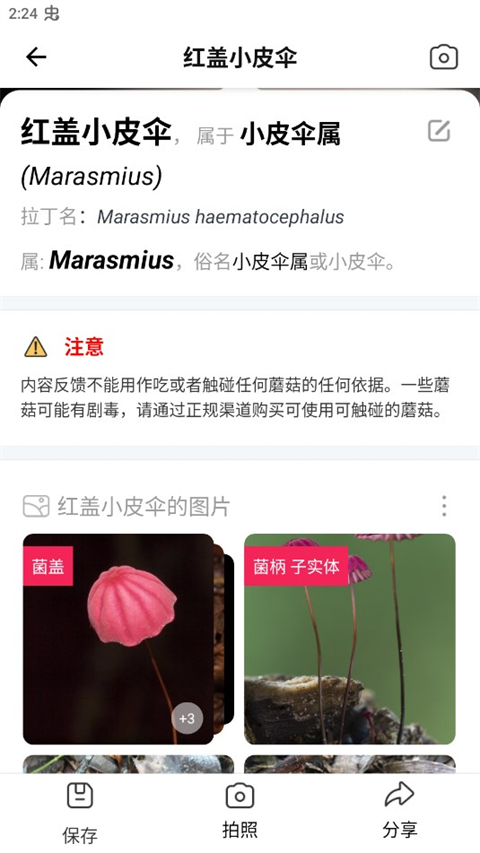 蘑菇识别扫一扫(Picture Mushroom)