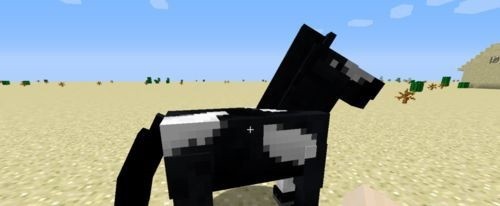 com.mojang.minecraftpe