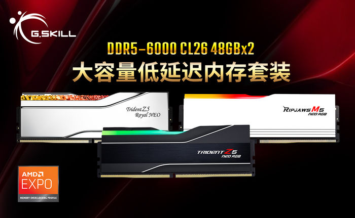 芝奇首发DDR