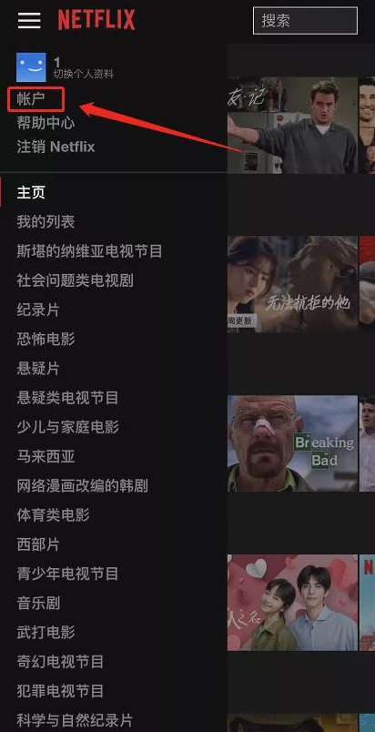 奈飞netflix安装包