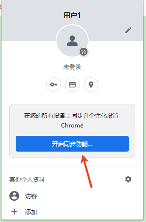 谷歌浏览器免费版(Chrome)