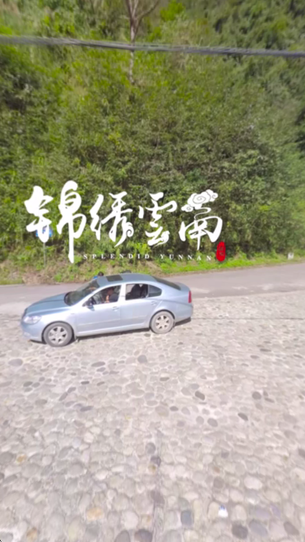 utovr官方正版免费